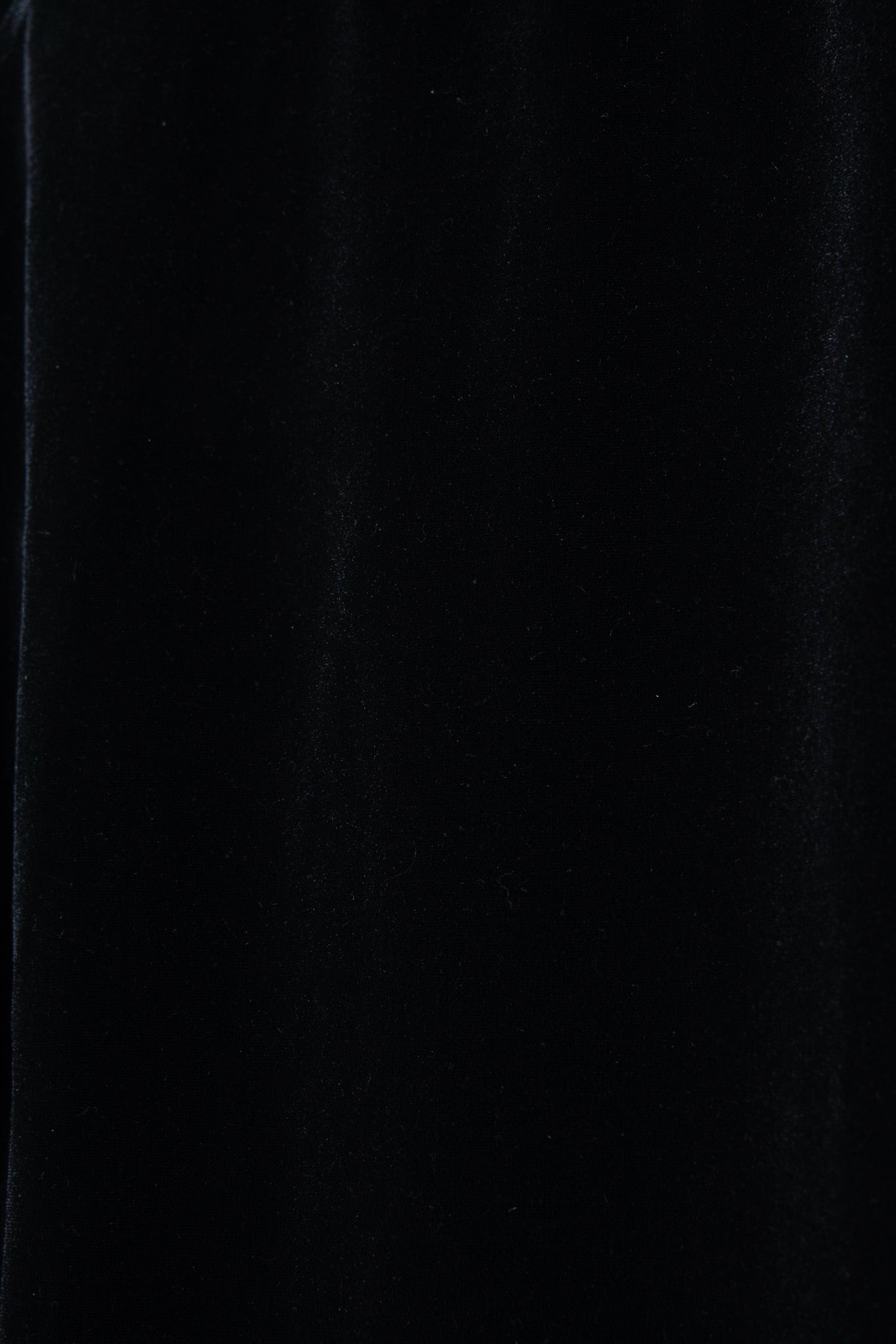 BODYSONG. / 先行予約 VELOUR WARHOL S - BLACK