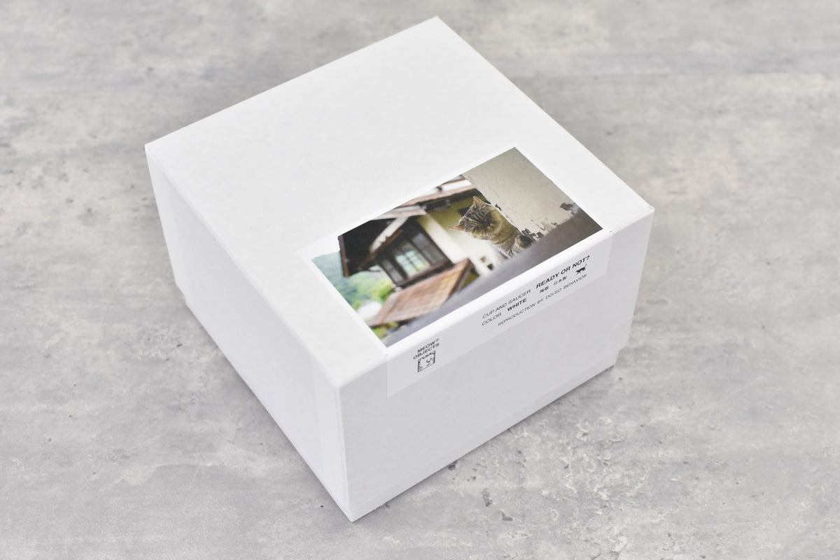 先行予約 BEDSIDEDRAMA / READY OR NOT CUP AND SAUCER